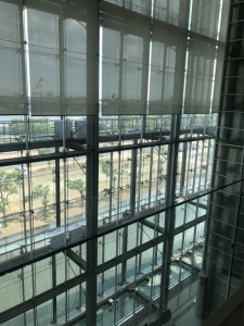 IMG_0216